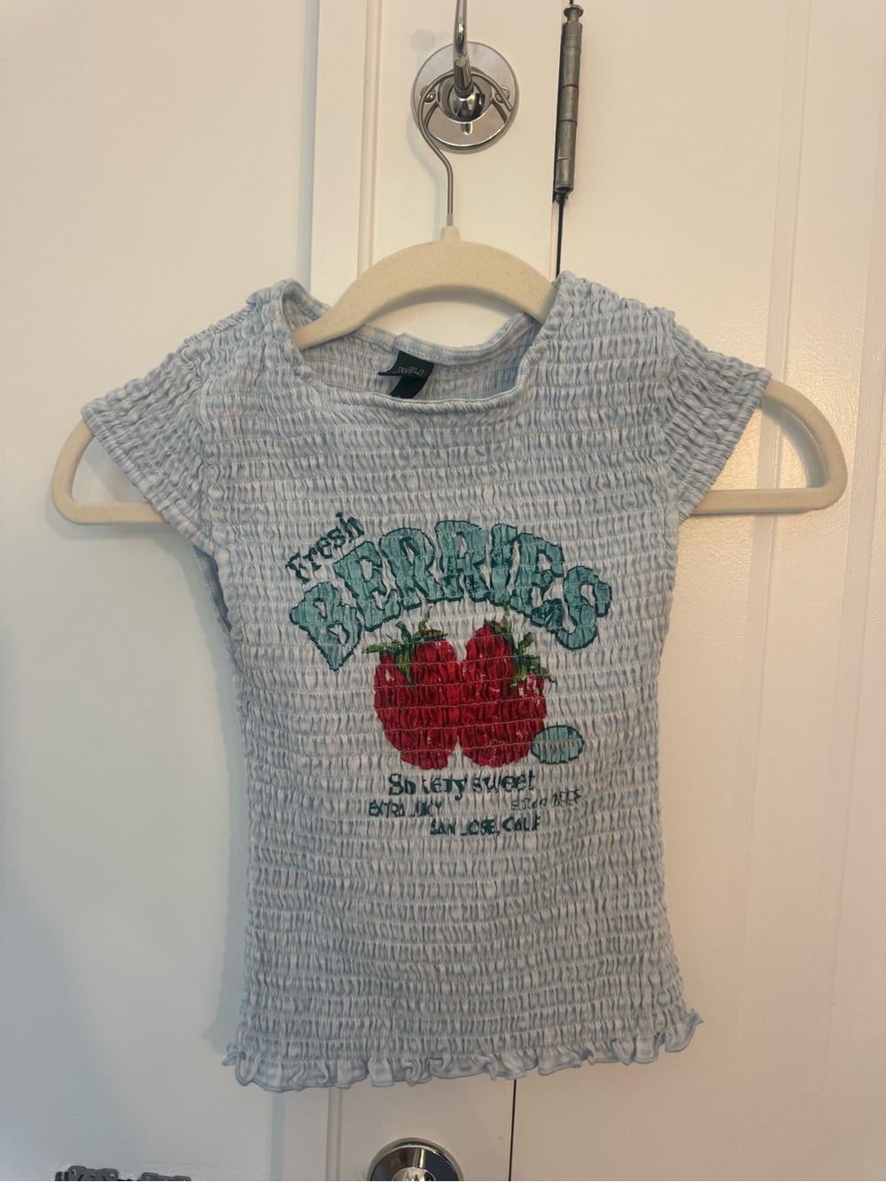 “Fresh Berries" Light Blue Smocked Tee